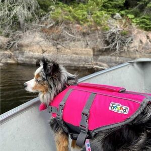 Outward Hound Pink Dog Life Jacket - Safety Swim Vest for Dogs